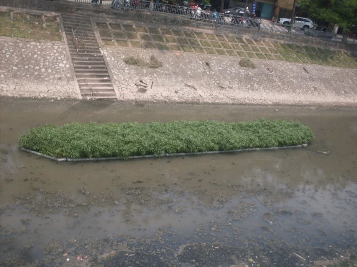 Khong can bom nuoc song Hong vao song To Lich huyen thoai hoi sinh, neu...?-Hinh-2