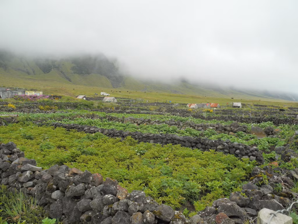 Số lượng gia súc được kiểm soát chặt chẽ. Mỗi gia đình chỉ được nuôi hai con bò để ăn cỏ và cũng là để không nhà nào giàu hơn nhà nào. Không một người ngoài đảo nào có thể mua bán đất ở đây trừ khi cả làng đồng tình rao bán.