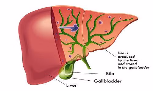 1. Giải độc gan Cây kế sữa có hoạt tính giải độc mạnh mẽ, giúp tái tạo các tế bào gan, thải bỏ độc tố ra khỏi cơ thể qua gan, đồng thời làm đảo ngược tự nhiên tác hại của việc sử dụng rượu bia... Cây kế sữa đã được công nhận là một liệu pháp điều trị cho các bệnh nhân gan khác nhau, bao gồm hội chứng gan nhiễm mỡ, say rượu, vàng da, bệnh vẩy nến, viêm gan và những người khác. (Ảnh: Draxe)