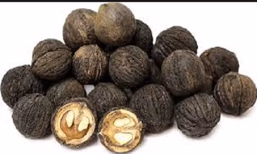 Diet sach ky sinh trung duong ruot voi qua oc cho den