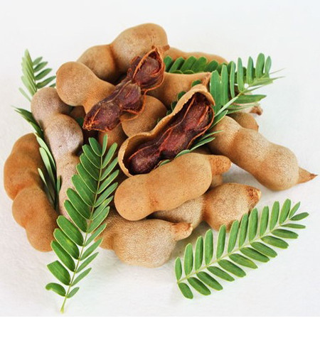 Chống lại nhiều bệnh nhiễm trùng: Nó cũng làm tăng hàm lượng các tế bào miễn dịch, CD4 và CD8 giúp chống lại nhiều loại bệnh nhiễm trùng.