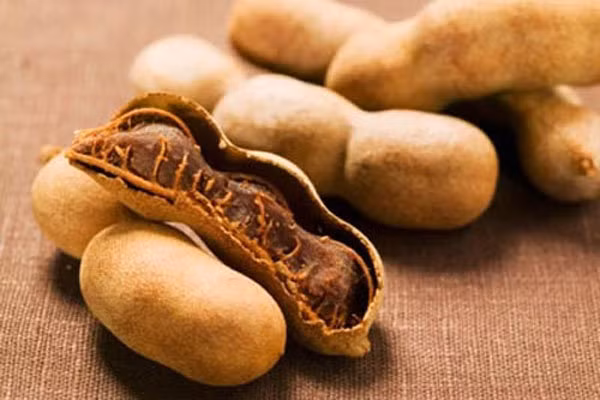 Điều trị tiêu chảy: Vỏ quả me chứa xyloglucan, đóng vai trò thay thế cho pectin hóa, giúp điều trị tiêu chảy.