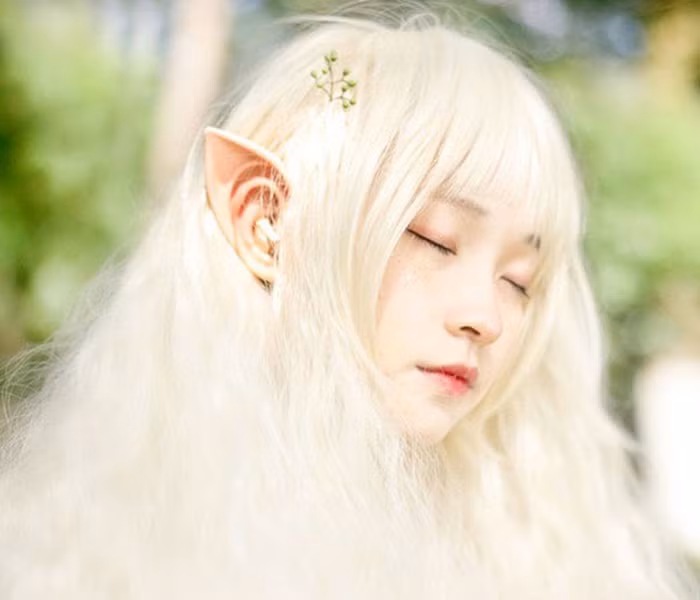 Những fan cuồng của bộ phim “Chúa tể những chiếc nhẫn” (Lord of the Rings) thích đeo chiếc tai này để giống như các thiên thần trong những bộ phim thuộc thế giới cổ tích hay thần thoại.
