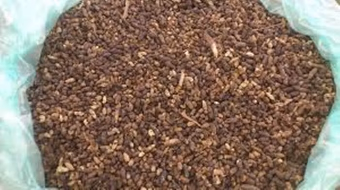 Phân dơi ngoài việc sử dụng làm thuốc súng thì chúng còn được dùng để chữa hôi nách hiệu quả. Cách làm rất dễ, chỉ cần dùng phân dơi đã phơi khô để tán thành bột mịn và trộn đều với nước đậu thành hỗn hợp sệt. Trước khi đi ngủ, bôi hỗn hợp này vào nách và sáng mai thức dậy rửa lại. Ảnh: Chữa Hôi Nách. (Thông tin trong bài viết chỉ mang tính chất tham khảo. Trước khi sử dụng bài thuốc, bạn vui lòng hỏi ý kiến bác sĩ).