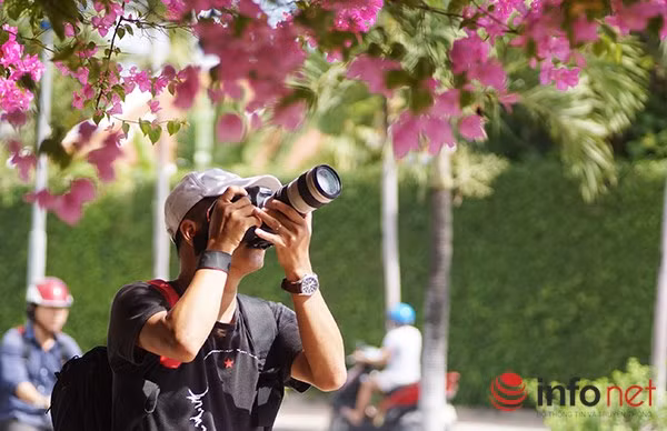 Đồng thời là niềm cảm hứng cho nhiều tay máy chuyên đi săn ảnh hoa. Ảnh:Infonet.