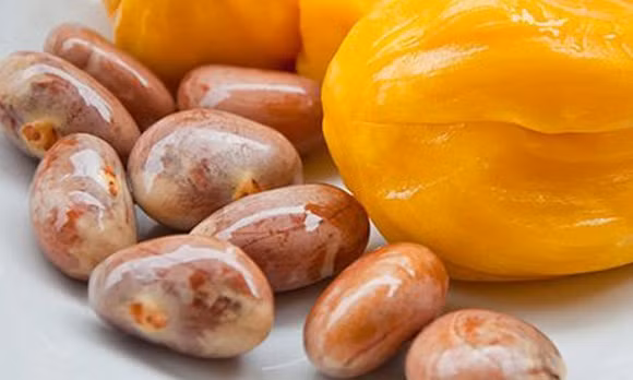 Ngoài ra, nếu ăn hạt mít thường xuyên, bạn cũng có thể tránh được các bệnh ở đường tiêu hóa, không bị thiếu máu và đặc biệt tốt cho khả năng tình dục cho cả nam và nữ. (Thông tin trong bài viết chỉ mang tính tham khảo, trước khi sử dụng bài thuốc, bạn vui lòng hỏi ý kiến bác sĩ).