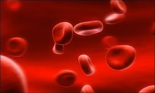 5. Ngăn ngừa thiếu máu Hạt quả cau đã được sử dụng trong nhiều năm như một loại thuốc để đối phó với tình trạng thiếu máu ở phụ nữ mang thai. Chúng ngăn ngừa chứng thiếu sắt nghiêm trọng và mức độ glucose trong máu thấp. Thường xuyên sử dụng trầu có thể giúp chống lại sự thiếu hụt chất sắt. (Ảnh: Bài thuốc dân gian)