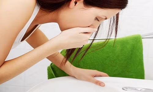 9. Ngăn chặn buồn nôn Nhai hạt cau giúp ngăn ngừa buồn nôn. Bạn có thể nhai ngay trước khi đi du lịch để tránh cảm giác buồn nôn. (Ảnh: Báo Lao Động)