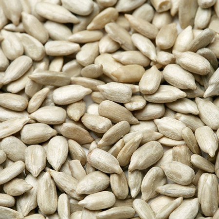 Cho toàn bộ hạt hướng dương bóc vỏ vào trong 500ml nước sôi, đậy nắp và đun trong 2 giờ đồng hồ.