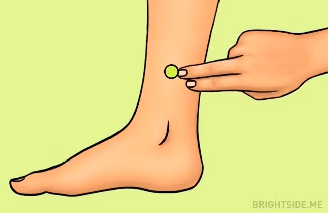 Huyệt mắt cá chân. Huyệt đạo này nằm ở bên trong cẳng chân của bạn, phía trên mắt cá chân khoảng 5cm. Giữ một lực bằng ngón tay cái lên điểm này rồi từ từ thả ra, lại tiếp tục ấn mạnh và thả nhẹ ra, thực hiện động tác này một phút mỗi ngày.