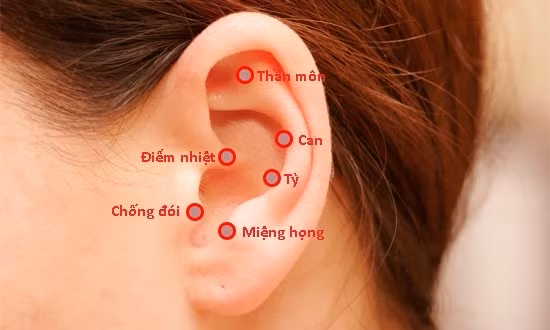 Huyệt tai. Đây là một trong những điểm kiềm chế sự thèm ăn tốt nhất. Huyệt này nằm phía trên khu vực đeo khuyên tai. Đặt tay vào huyệt và ấn mạnh vào đó từ 1-3 phút, mỗi ngày làm 2 lần.