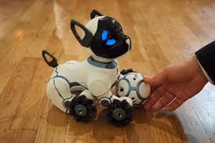 Chó robot. Chú chó thông minh sẽ có phản ứng khi được chủ sai bảo. Những con chó cũng có tính cách riêng không nhầm lẫn được với nhau. Những con robot cún này được sản xuất từ 29/9/2016 theo đơn đặt hàng của khách.