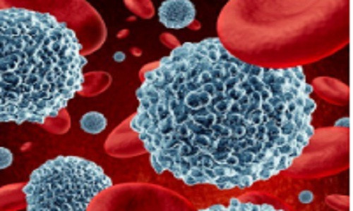  9. Chống viêm nhiễm. Cúc dại cũng là một phương thuốc tuyệt vời cho các bệnh nhiễm trùng. Theo NIH, dùng thuốc từ cúc dại kết hợp với kem bôi có thể làm giảm tỷ lệ nhiễm trùng âm đạo tái phát tới 16%. Nó cũng được biết đến trong việc làm giảm nhiễm trùng máu, herpes sinh dục, bệnh về lợi, bệnh sốt rét, bệnh giang mai, thương hàn, nhiễm trùng đường tiết niệu, nhiễm nấm men âm đạo.