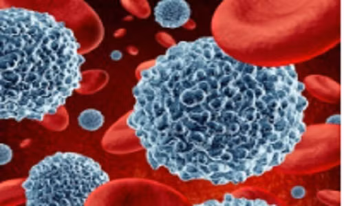  9. Chống viêm nhiễm. Cúc dại cũng là một phương thuốc tuyệt vời cho các bệnh nhiễm trùng. Theo NIH, dùng thuốc từ cúc dại kết hợp với kem bôi có thể làm giảm tỷ lệ nhiễm trùng âm đạo tái phát tới 16%. Nó cũng được biết đến trong việc làm giảm nhiễm trùng máu, herpes sinh dục, bệnh về lợi, bệnh sốt rét, bệnh giang mai, thương hàn, nhiễm trùng đường tiết niệu, nhiễm nấm men âm đạo.