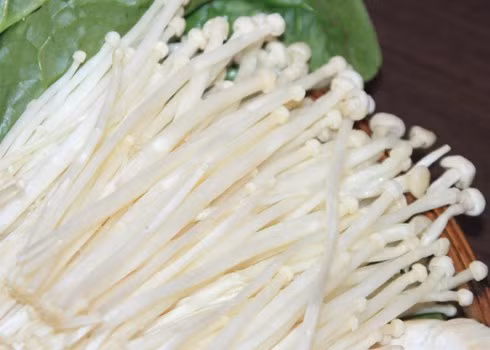 3 cong thuc chua benh tu nam kim cham hieu qua bat ngo