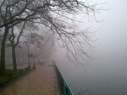 Ấy vậy mà đó lại là một phần hồn của mảnh đất kinh kỳ, một phần nỗi nhớ mà ai đã từng đi qua những mùa đông Hà Nội phải hoài nhung nhớ lúc chia xa. Ảnh: Baicadicungnamthang.net.