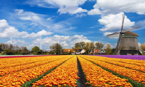 Hà Lan. Những bà mẹ ở đất nước Hà Lan thích sinh con không dùng thuốc giảm đau và họ có sự chuẩn bị chu đáo trước khi sinh con với các dịch vụ hộ sinh.