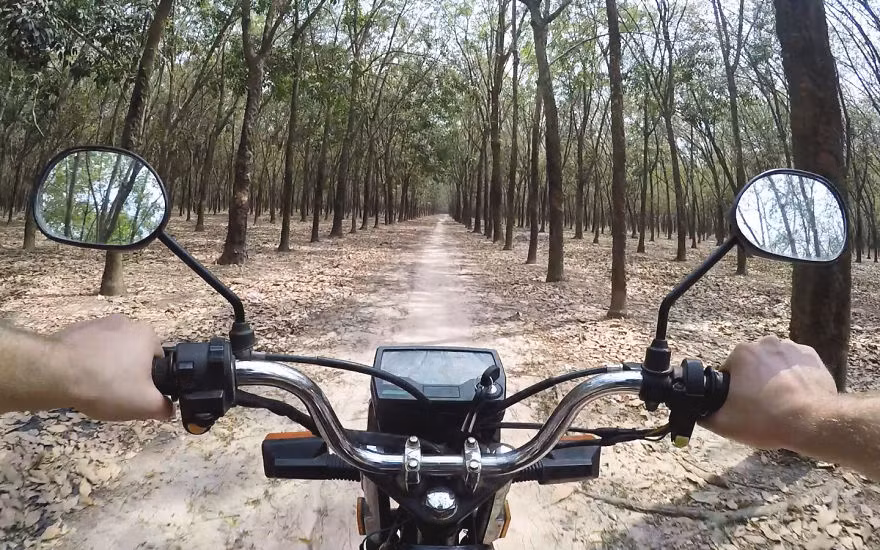 Có những cung đường qua cả rừng cao su rất lãng mạn.