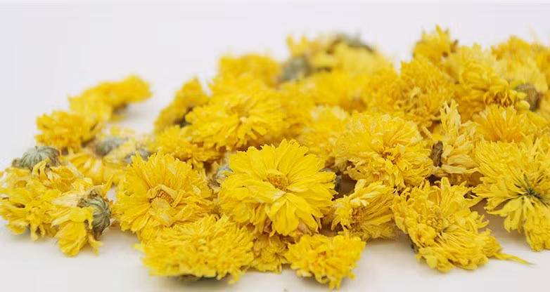 5. Chống viêm. Từ trước tới nay, viêm nhiễm luôn được coi là kẻ sát nhân nguy hiểm bởi đó là gốc rễ của hầu hết các bệnh. Rất may, việc sử dụng cúc dại thường xuyên có thể mang lại kết quả tích cực, kháng viêm hiệu quả.