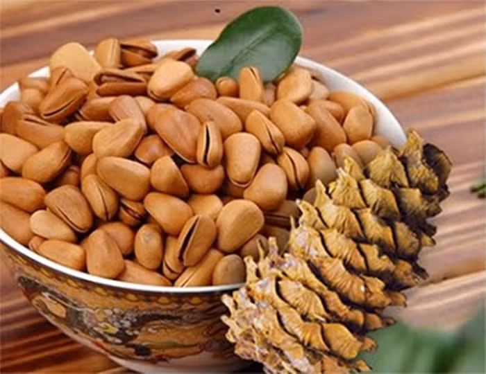 Nhân hạt thông chứa nhiều vitamin E, vitamin K, đồng, sắt, mangan và là nguồn cung chất béo không bão hòa đơn với mức cholesterol thấp, giúp máu lưu thông tốt. Chính vì thế, nếu ăn hạt thông sẽ giúp cơ thể khỏe mạnh, cải thiện tình trạng thiếu máu và nâng cao sức đề kháng. Ảnh: Đại Phát.