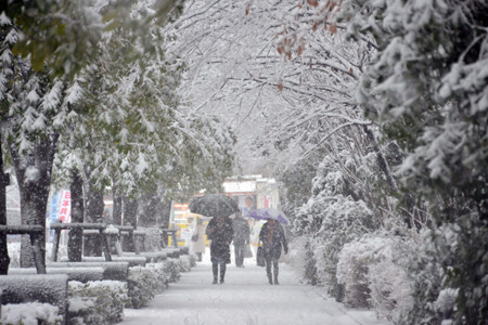 Đa phần các vùng ở Nhật Bản đều có tuyết rơi vào mùa đông ngoại trừ vùng khí hậu nhiệt đới Okinawa, gió mùa đông bắc thổi từ lục địa châu Á tới bị chắn bởi hệ thống núi đồi chạy dọc nước Nhật gây ra tuyết rơi nhiều từ Hokkaido tới trung tâm Honshu. Ảnh: Isenpai.jp. 