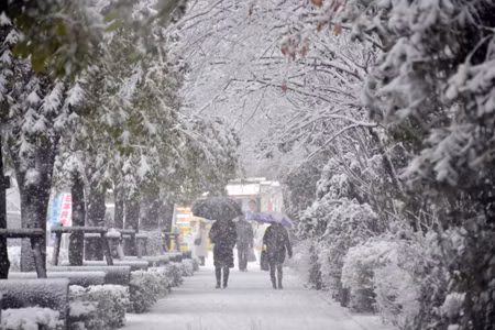 Đa phần các vùng ở Nhật Bản đều có tuyết rơi vào mùa đông ngoại trừ vùng khí hậu nhiệt đới Okinawa, gió mùa đông bắc thổi từ lục địa châu Á tới bị chắn bởi hệ thống núi đồi chạy dọc nước Nhật gây ra tuyết rơi nhiều từ Hokkaido tới trung tâm Honshu. Ảnh: Isenpai.jp. 
