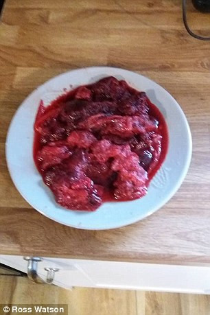 Hầu hết các cư dân mạng đều phản đối việc này, “Thật kinh khủng, tôi không muốn sống trên hành tinh này nữa”. hay “ Chúa ơi, chắc chắn đây là ăn thịt người”