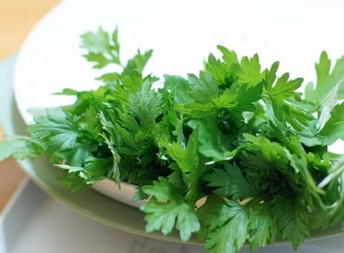 Lá cây rau ngải cứu. Trong lá ngải cứu có chứa những dưỡng chất giúp phân giải chất béo rất tốt, giảm cholesterol xấu ra khỏi cơ thể nhanh. Ngoài ra, chất thujone trong loại lá này đem lại tinh thần tỉnh táo, giúp giảm stress, tinh dầu kích thích đổ mồ hôi nhanh, hỗ trợ giảm béo hiệu quả. Ảnh: Emdep.