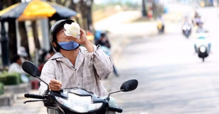 Trị cảm nóng, phát ban, đau buốt bàng quang. Dùng 20-40g lô căn đun cùng 1 lít nước, đun sôi rồi nhỏ lửa đun tiếp trong 15 phút, uống trong ngày. Lô căn có vị ngọt, tính hàn có thể thanh nhiệt thải hết chất độc ra ngoài. Ảnh: Xaluan.