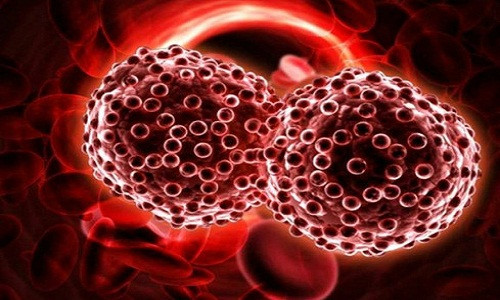 5. Phòng chống ung thư. Nhiều nghiên cứu cho thấy, lá thường xuân có tác dụng chống oxy hóa, ngăn ngừa sự lây lan hay phát triển của ung thư. Bằng cách loại bỏ các gốc tự do và ngăn ngừa đột biến, lá thường xuân có thể bảo vệ cơ thể khỏi một loạt các bệnh mãn tính, bao gồm cả ung thư.