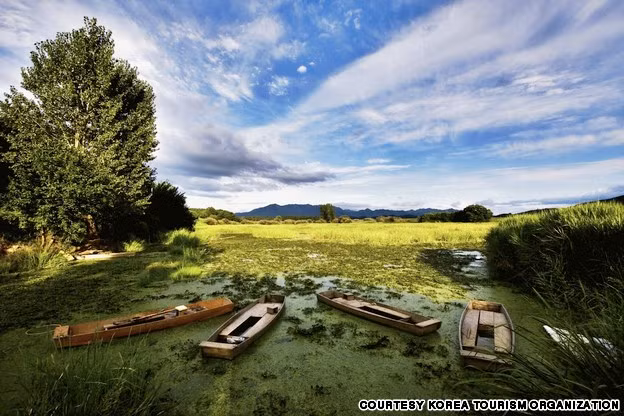  6. UPO Marsh: Với diện tích 2,314 km2, UPO Marsh là vùng đất ngập nước nội địa lớn nhất tại Hàn Quốc. Hình thành hơn 140 triệu năm trước đây, các đầm lầy là nơi có 1.500 loài thực vật và động vật, một số trong đó là những loài đang bị đe dọa. Du khách có thể đi xe đạp hoặc đi bộ xung quanh đầm lầy để ngắm nhìn thiên nhiên tuyệt đẹp.