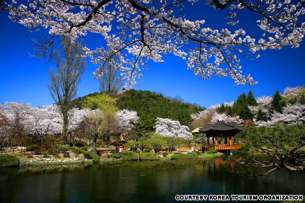  10. Bomun Pavilion, Gyeongju: Gyeongju, một cố đô của triều đại Shilla, tự hào có biệt danh là "một bảo tàng không có tường." Trong thực tế, đó là địa điểm hoàn hảo để xem tất cả các mùa của Hàn Quốc khác nhau rõ rệt: lá xanh tươi tốt của mùa hè, đỏ tươi và mù tạt tán lá mùa thu, và chăn mùa đông tuyết. Nguồn ảnh: Travel.cnn.com.