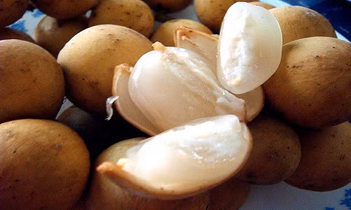 1. Là nguồn vitamin dồi dào. Quả bòn bon chứa nhiều vitamin B và C có tác dụng tốt đối với các bệnh về tim mạch, đột quỵ và ung thư. Vì chứa nhiều vitamin B nên loại quả này còn giúp cải thiện tâm trạng, thúc đẩy quá trình trao đổi chất và rất tốt cho việc phòng chống dị tật bẩm sinh.