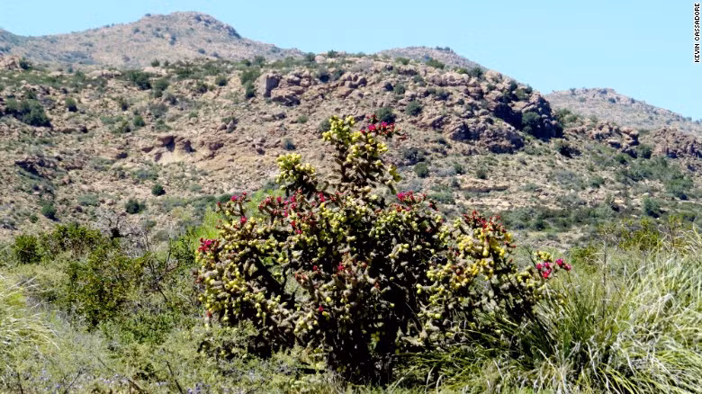 Vùng Oak Flat, Superior, Arizona. Địa danh của các tộc người da đỏ sinh sống và nó được bảo tồn cho đến năm ngoái. Sau đó, chính quyền đã đưa việc trao đổi đất vào Bộ Luật Uỷ quyền hành động Quốc phòng năm 2015. Do đó, 971 héc ta đất có chứa mỏ đồng sẽ được trao cho Công ty Khai thác Mỏ đồng Resolution, đổi lấy 2145 héc ta đất riêng của công ty cho Ủy ban về rừng Mỹ.