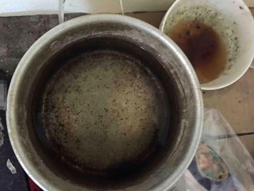 Bát và xoong nồi cũng đều có lăng quăng do để quá lâu chưa rửa.