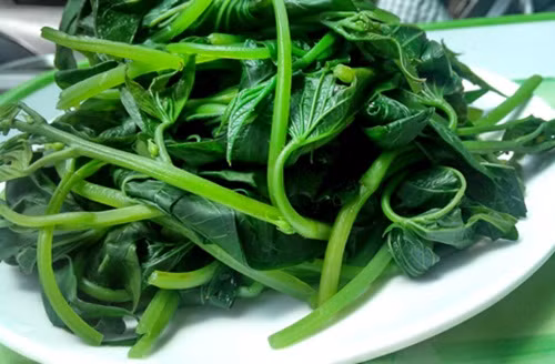 Các quý cô chỉ cần ăn rau lang luộc thường xuyên sẽ thay thế cho lượng tinh bột từ gạo. Nếu bạn ăn rau lang đều đặn trong 2 tháng thì hiệu quả giảm cân thấy rõ. Loại rau này lại còn tốt cho những phụ nữ mang thai, kén ăn và không hề gây ra vấn đề gì cho tiêu hóa. Ảnh: Phunutoday. 