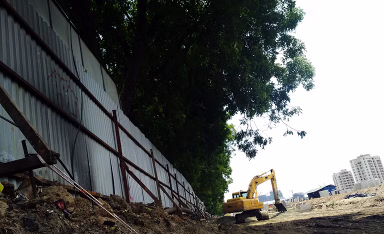 Ban quản lý đầu tư xây dựng công trình giao thông Hà Nội (Sở GTVT Hà Nội) cho biết, việc chặt hạ, di dời cây xanh trên đường Phạm Văn Đồng (Hà Nội) là bắt buộc.