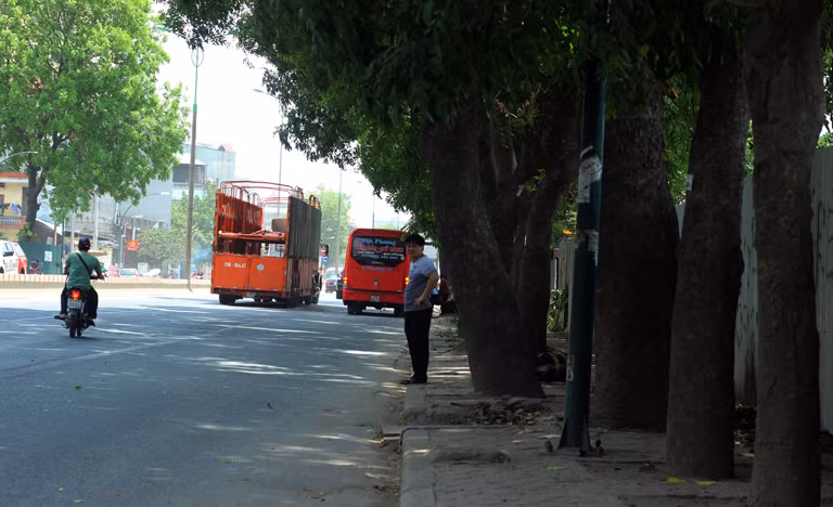Nhiều người tỏ ra tiếc nuối khi nắm được thông tin hơn 1.300 cây xanh trên đường này sẽ bị chặt hạ, di chuyển, cắt tỉa.