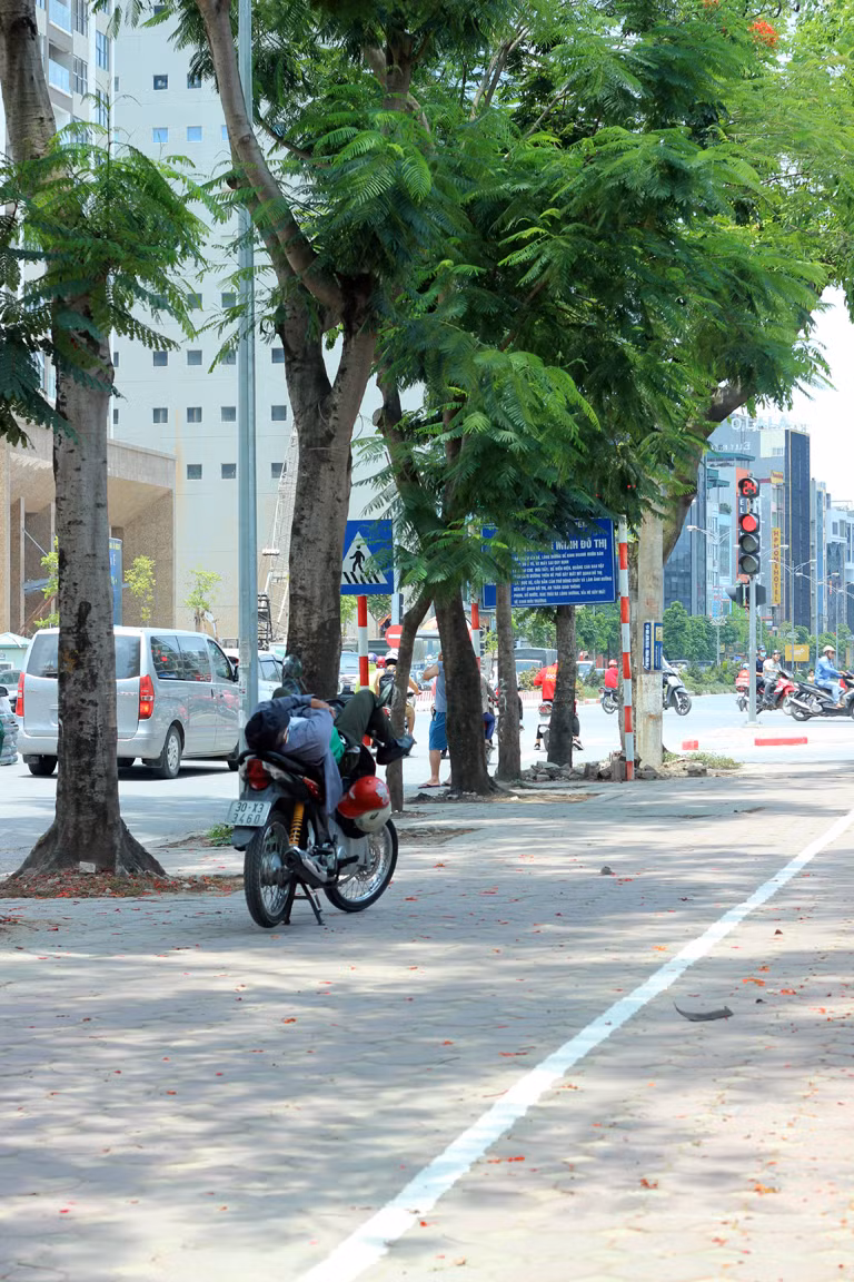 Bóng cây xanh mát mẻ, gầm cầu, trạm xe buýt... là những nơi lý tưởng để người lao động nghèo tranh thủ tận dụng để ngủ trưa.