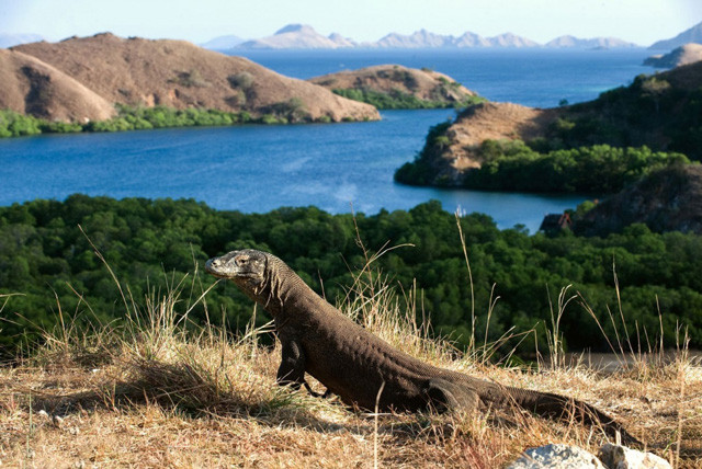 10. Vườn quốc gia Komodo (Indonesia).
