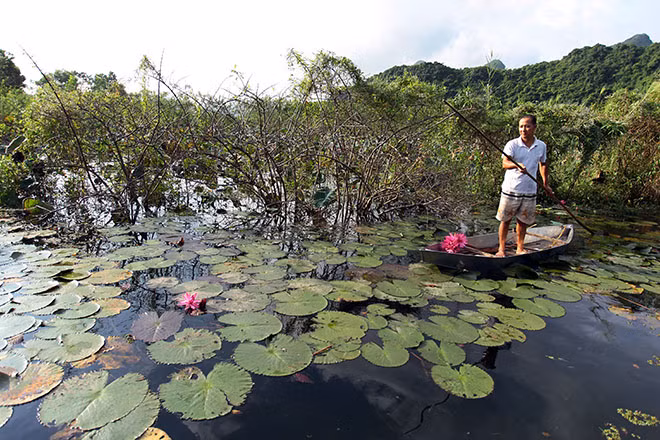 Theo lời kể của người dân bản địa, sở dĩ có tên suối Yến bởi nó có hình dáng giống như đuôi một con chim yến đang xòe rộng, vì thế suối Yến còn có tên gọi là Yến Vĩ. Suối Yến dài khoảng 4km, từ bến Đục, du khách lên thuyền theo dòng suối để đến với Hương Sơn.