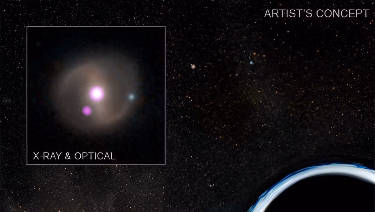 Theo các quan sát, trong vài năm, đĩa này đã mở rộng ra bên ngoài và hiện đang nằm ngay trên đường đi của một ngôi sao khác. Ngôi sao này trước đây quay quanh hố đen ở khoảng cách an toàn. Tuy nhiên gần đây nó liên tục bị đĩa bồi tụ vật chất tấn công khoảng 48 giờ một lần, khi nó quay tròn. Ảnh NASA