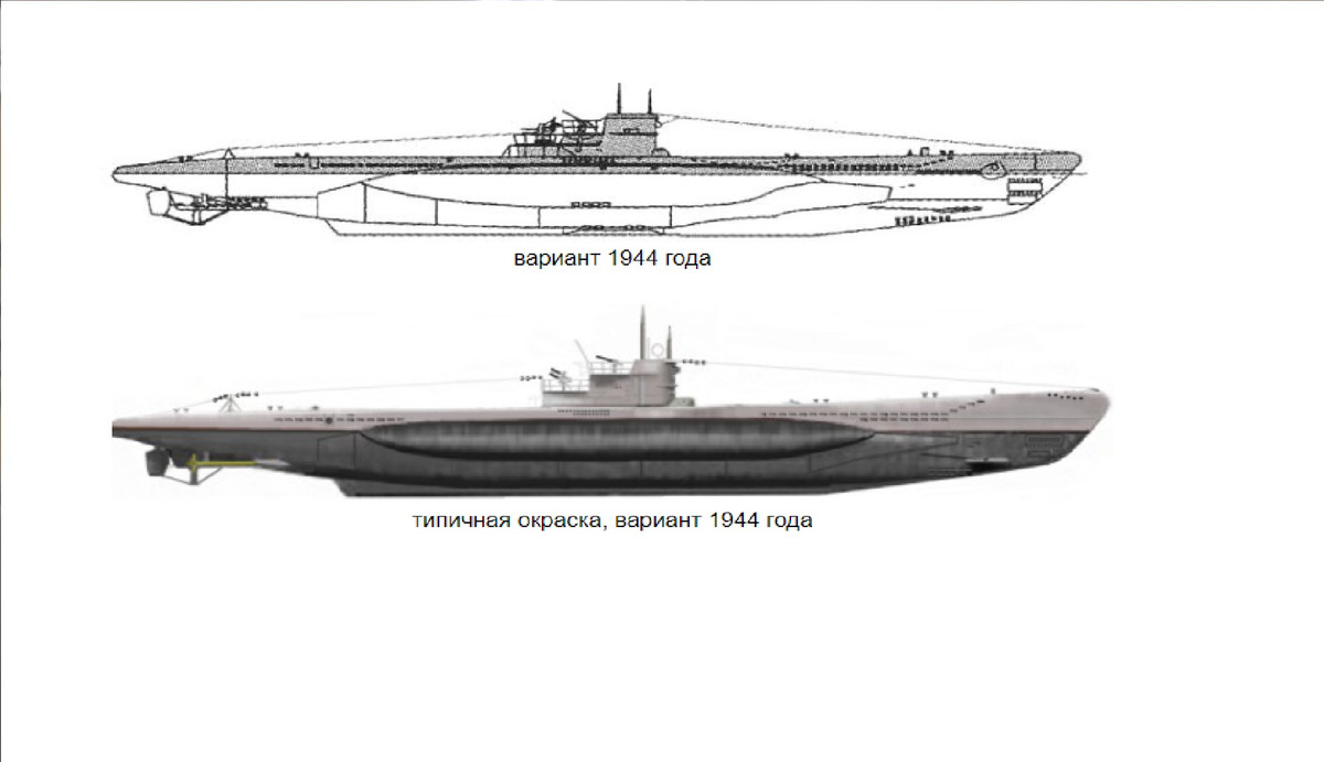 Để nghiên cứu các yếu tố gây thiệt hại, một số tàu và tàu ngầm đã được đưa đến khu vực thử nghiệm, cách tâm chấn từ 300 mét đến 3 km. Trong đó có 2 tàu ngầm S-81 và S-84 thu giữ được của Đức và 2 tàu ngầm của chính Liên Xô là B-9 và S-19, một số tàu khu trục và 100 con chó.