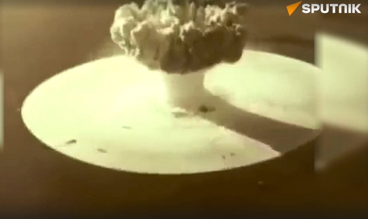 Theo tài liệu giải mật, có 75 con chó trên tàu mục tiêu và 25 con khác được để tại các cơ sở trên bờ. Kết quả có 6 con chó bị chìm trong các khoang tàu, có 11 con bị nhiễm phóng xạ ở cấp độ 1 và 2 với liều lượng vượt 80 roentgens, một con bị nhiễm đến cấp độ 3 với 300 roengens, còn lại những con chó khác vẫn an toàn. Ảnh: Sputnik