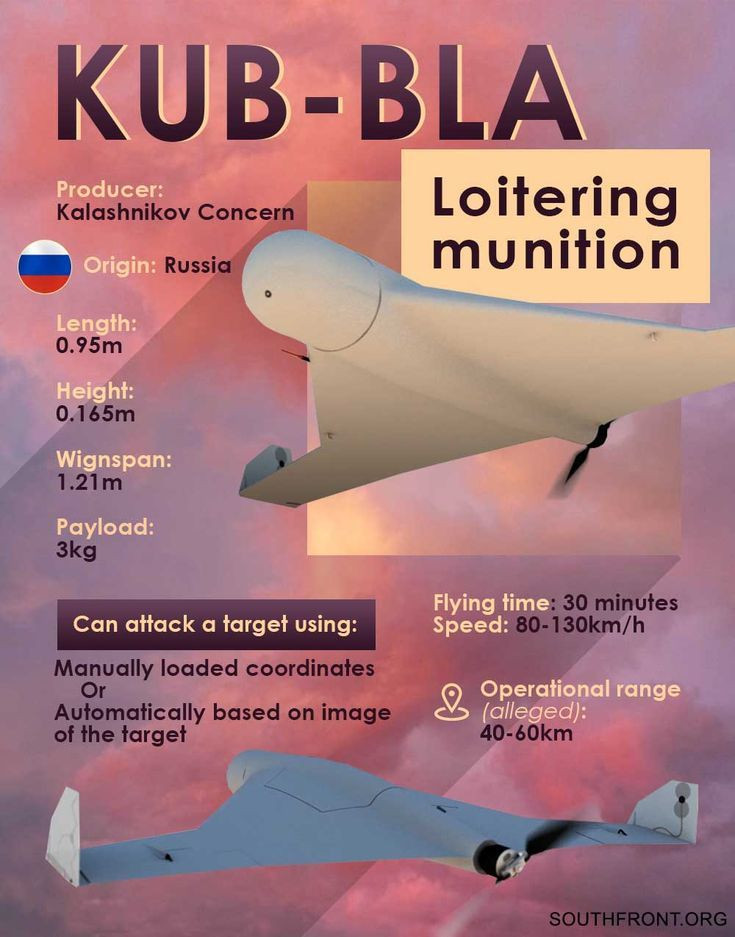 Phiên bản đầu tiên của chiếc UAV tự sát này có sải cánh 1,21m có thể mang đầu đạn 3kg bay liên tục trong 30 phút với vận tốc 80-130km/giờ. Hệ thống liên lạc bằng sóng ngắn giúp cho nó có tầm hoạt động từ 40-60 km tùy thuộc vào địa hình. Ảnh: SouthFront.