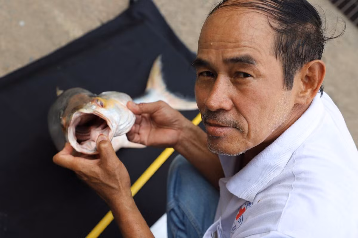 Các nhà sinh vật học cho biết họ hy vọng rằng việc hợp tác với cộng đồng địa phương ở Thái Lan và Lào sẽ giúp họ xác nhận được liệu loài cá này có còn bơi ở các đoạn khác của sông Mekong hay không. Cùng với đó, những nổ lực khác như tìm kiếm những các thể cá còn sống để có thể thực hiện công tác bảo tồn thông qua sinh sản nhân tạo. Ảnh: Wonders of the Mekong