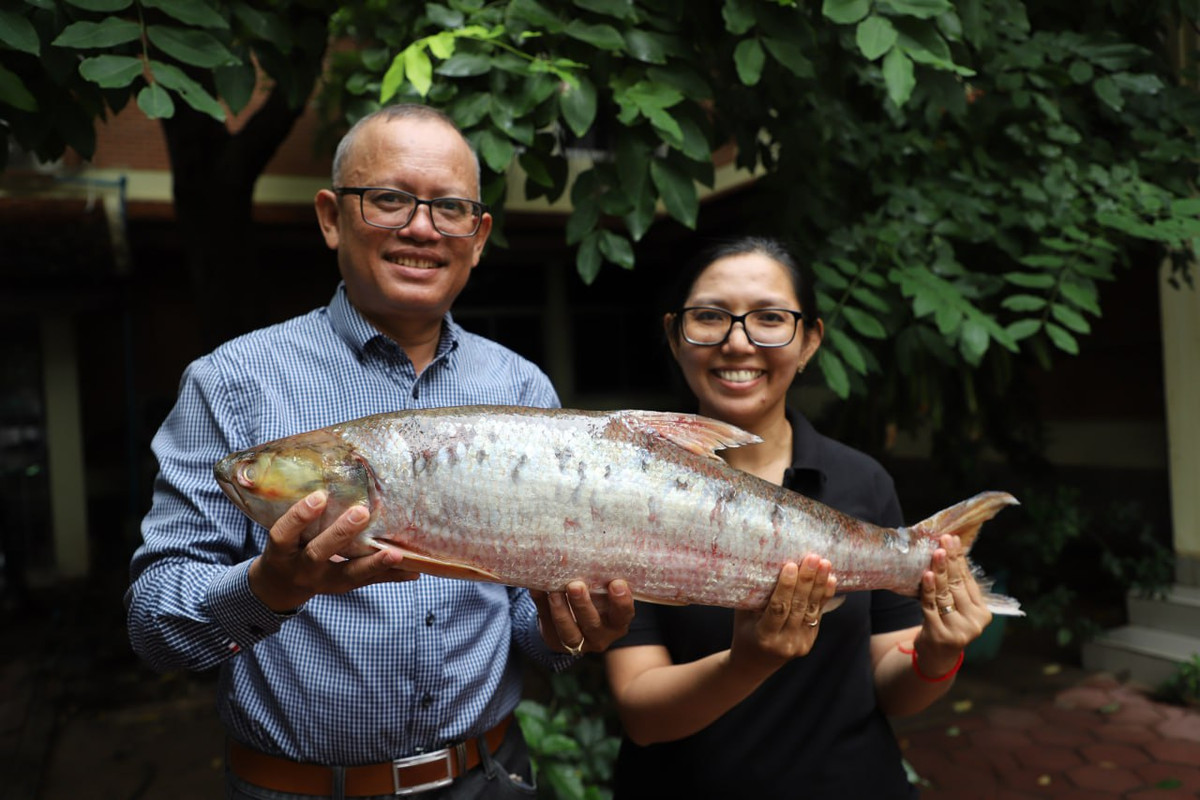 Brian Eyler, giám đốc Chương trình Đông Nam Á tại Trung tâm Stimson ở Washington, người không tham gia vào nghiên cứu, cho biết có hơn 700 con đập được xây dựng dọc theo con sông và các nhánh của nó và có rất ít "đường di chuyển cho cá" có chức năng giúp các loài di chuyển qua các chướng ngại vật. Ảnh: Wonders of the Mekong