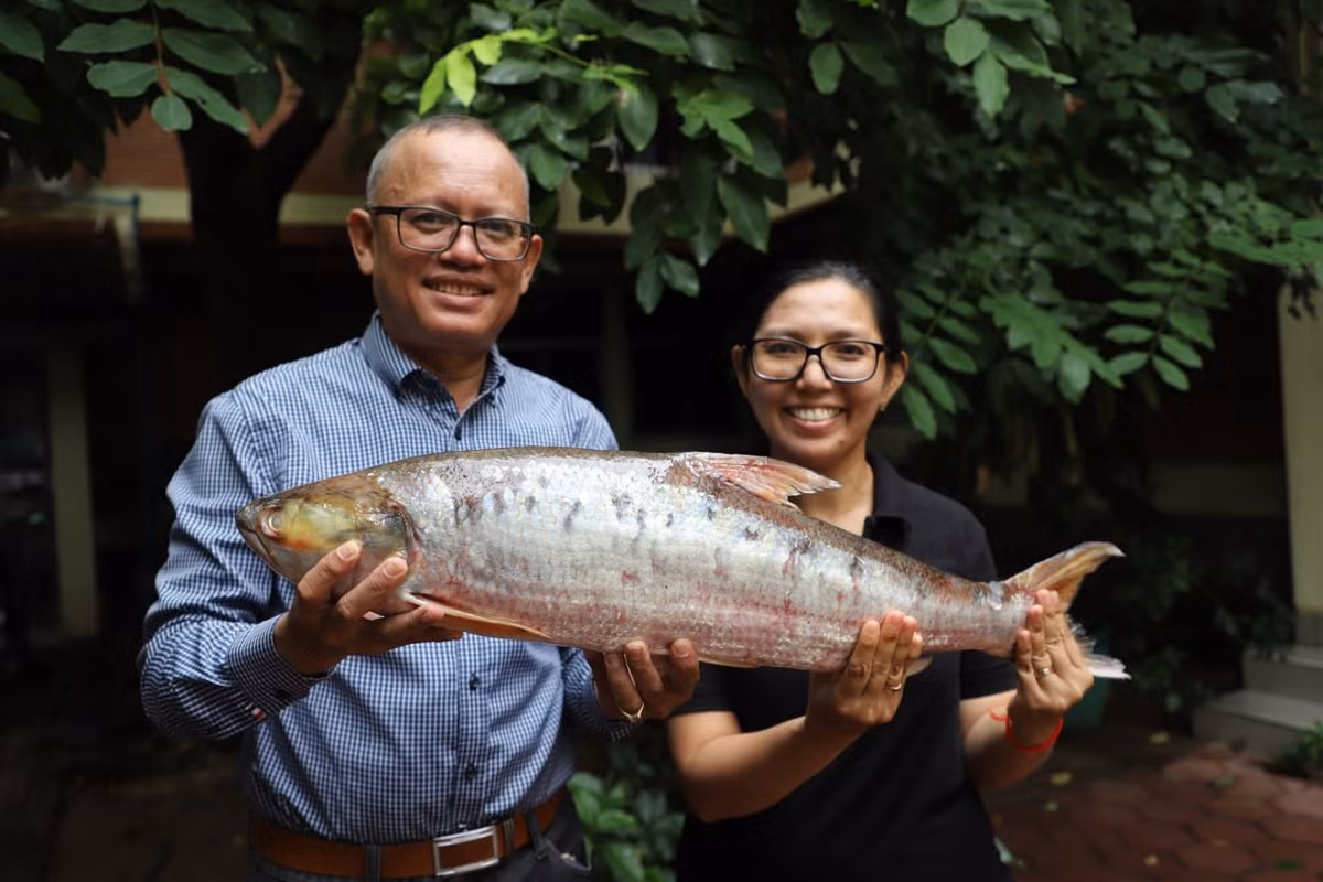 Brian Eyler, giám đốc Chương trình Đông Nam Á tại Trung tâm Stimson ở Washington, người không tham gia vào nghiên cứu, cho biết có hơn 700 con đập được xây dựng dọc theo con sông và các nhánh của nó và có rất ít "đường di chuyển cho cá" có chức năng giúp các loài di chuyển qua các chướng ngại vật. Ảnh: Wonders of the Mekong
