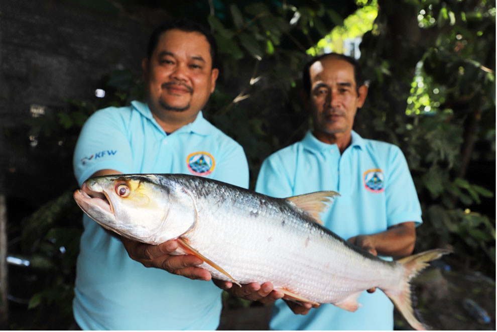 Chheana Chhut, đồng tác giả của một nghiên cứu được công bố trực tuyến hôm thứ Hai trên tạp chí Biological Conservation ghi lại những lần nhìn thấy gần đây, cho biết: "Với lần nhìn thấy cuối cùng được xác nhận vào năm 2005, loài cá này dường như đã biến mất khỏi khu vực sông Mekong trong nhiều thập kỷ". Ảnh: Chhut Chheana/Wonders of the Mekong