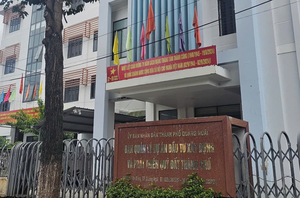 Mở lại gói thầu chiếu sáng "ồn ào khiếu kiện" tại thành phố Quảng Ngãi Mo lai goi thau chieu sang